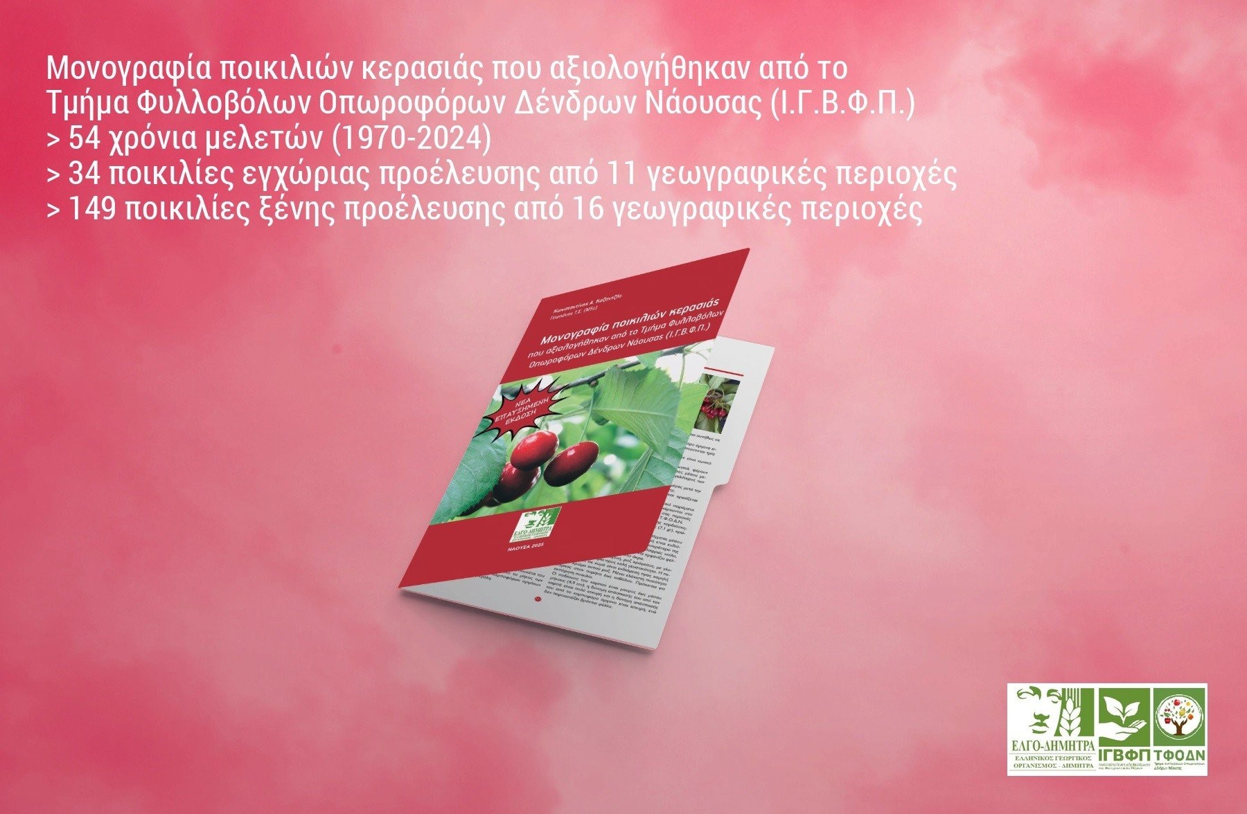 mockup-teliko.jpg