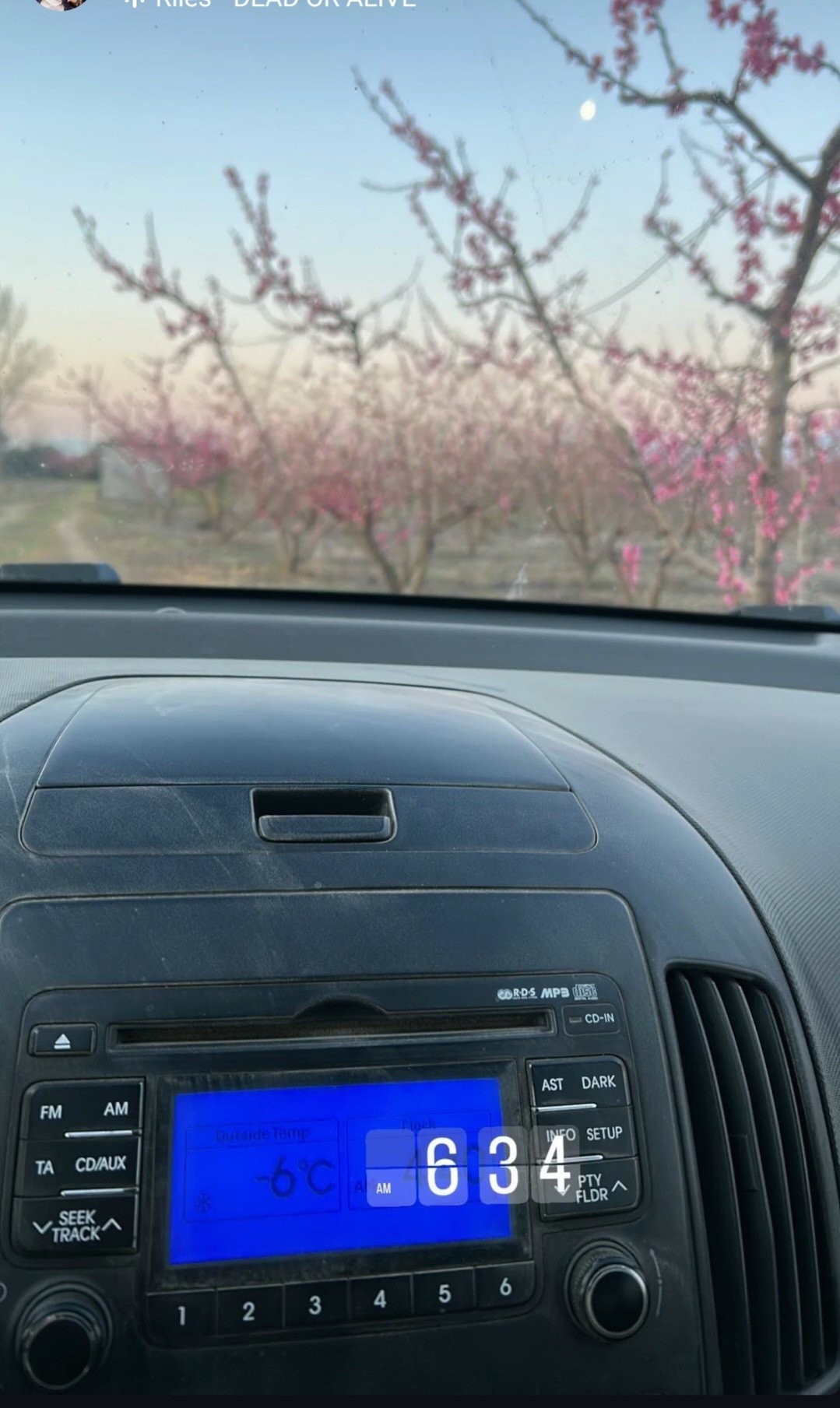 screenshot-20250320-072107-instagram.jpg