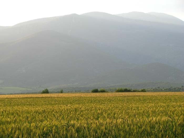 003-EoNjA.jpg
