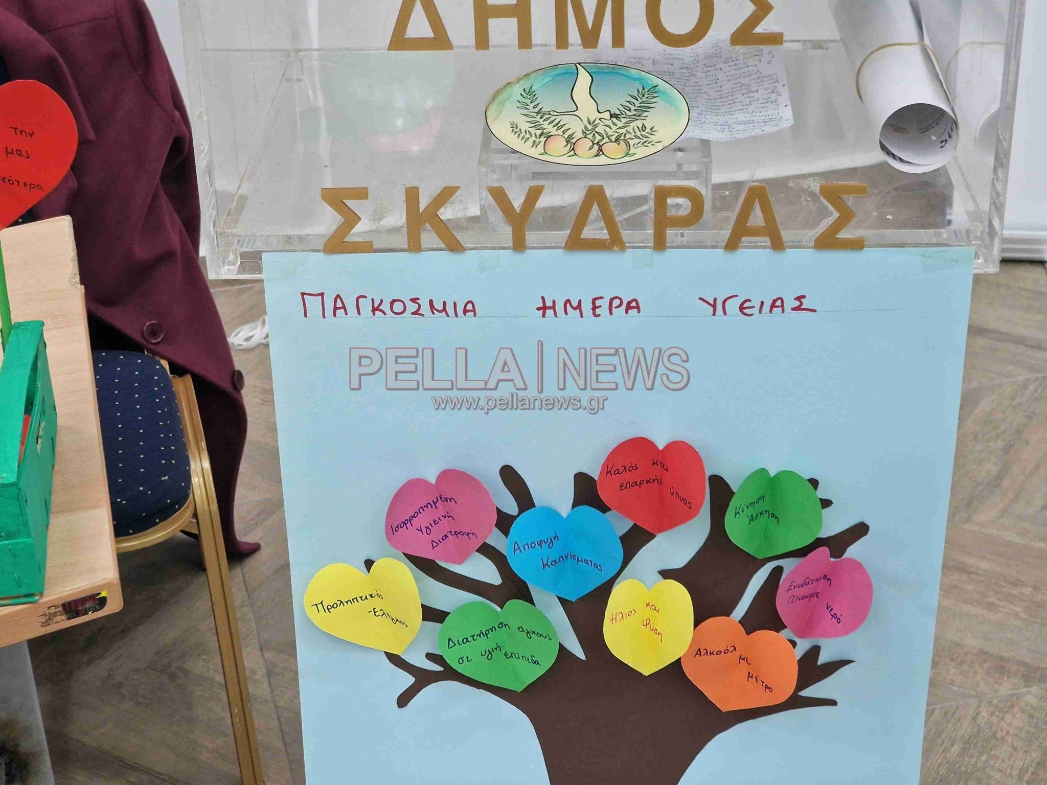 aimodosia-skudra-pellanews20250407-191337.jpg
