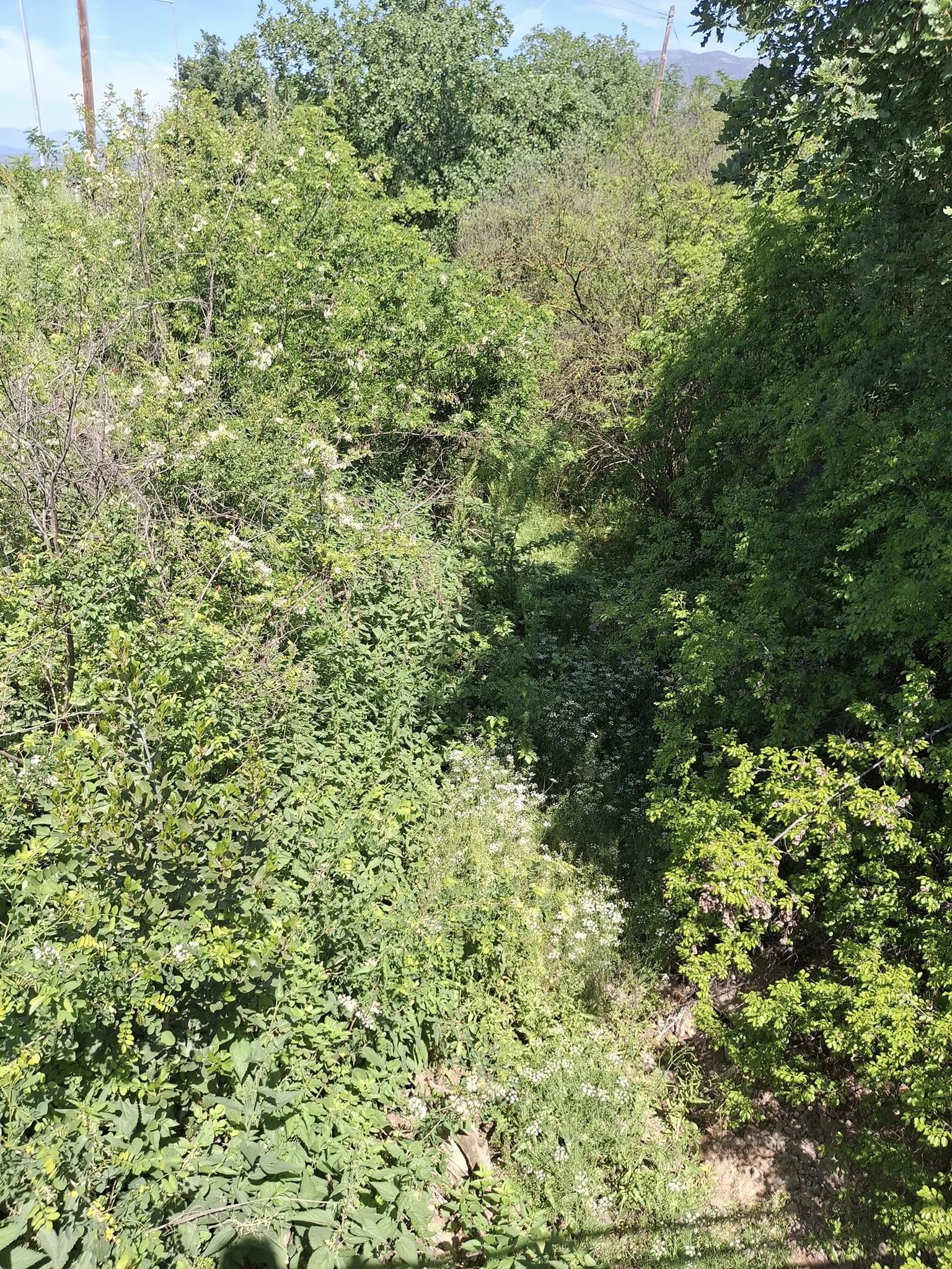 akhla2.jpg