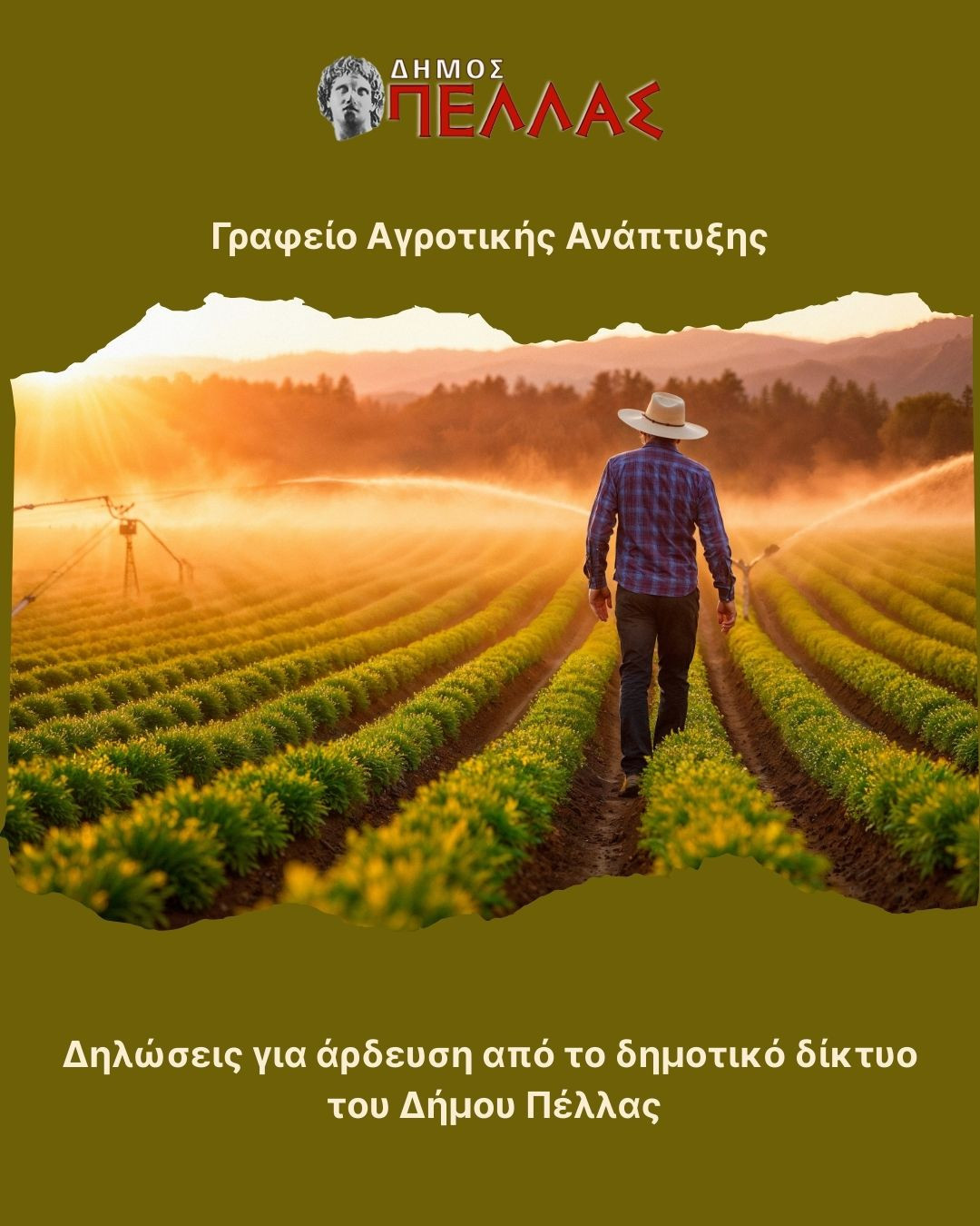 grafio-agrotikhs-anaptykshs-dhlosis-ardefshs.jpg