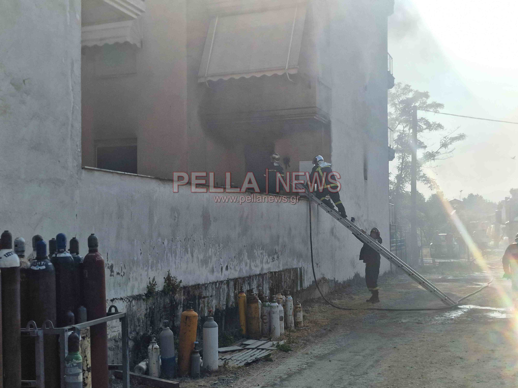 purkagia-pellanews20250613-181436.jpg