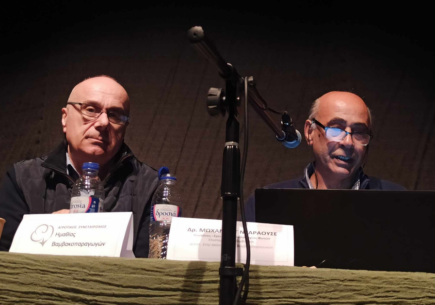 stighmiotipo-othonis-2025-06-14-155323.png