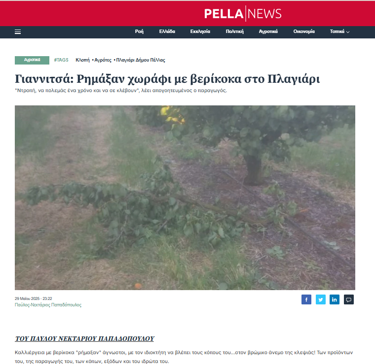 stighmiotipo-othonis-2025-06-15-143329.png