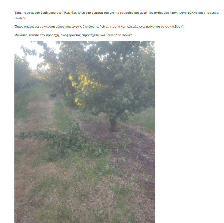stighmiotipo-othonis-2025-06-15-143343.png