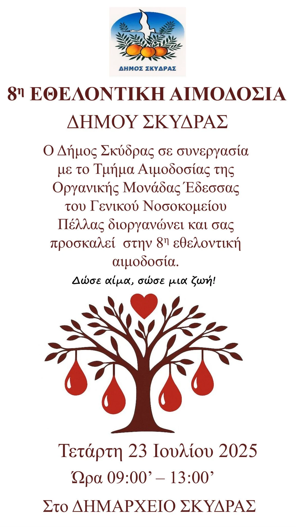 dimos-skydras-afisa-8is-ethelontikis-aimodosias-tet23-7-2025.jpg