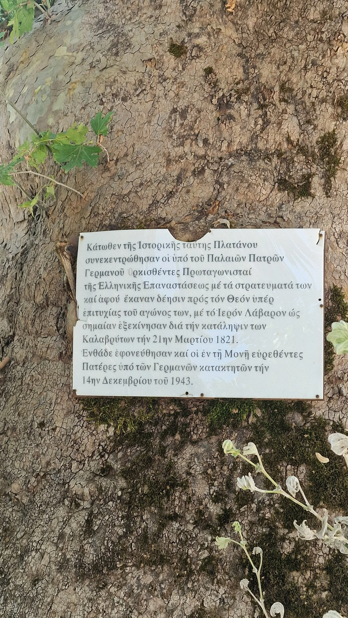 20250717-120221.jpg