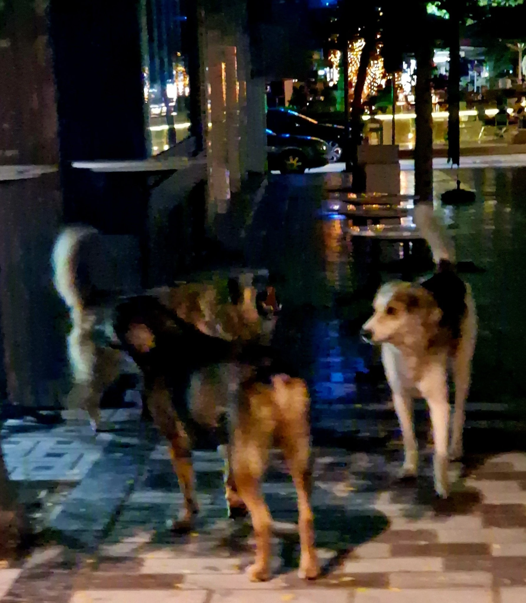 20250808-003739.jpg
