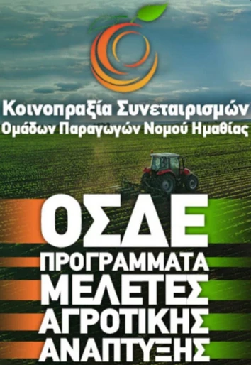 stighmiotipo-othonis-2025-08-24-141451.png