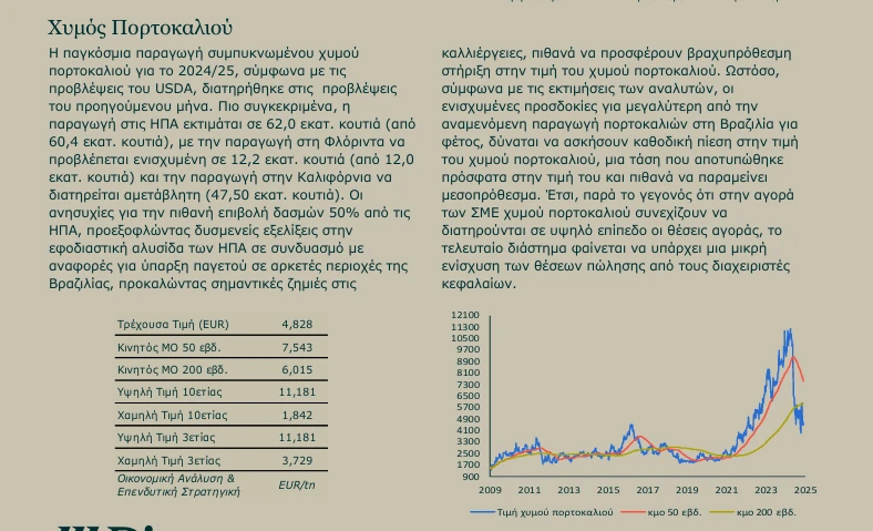 stighmiotipo-othonis-2025-09-02-184506.png
