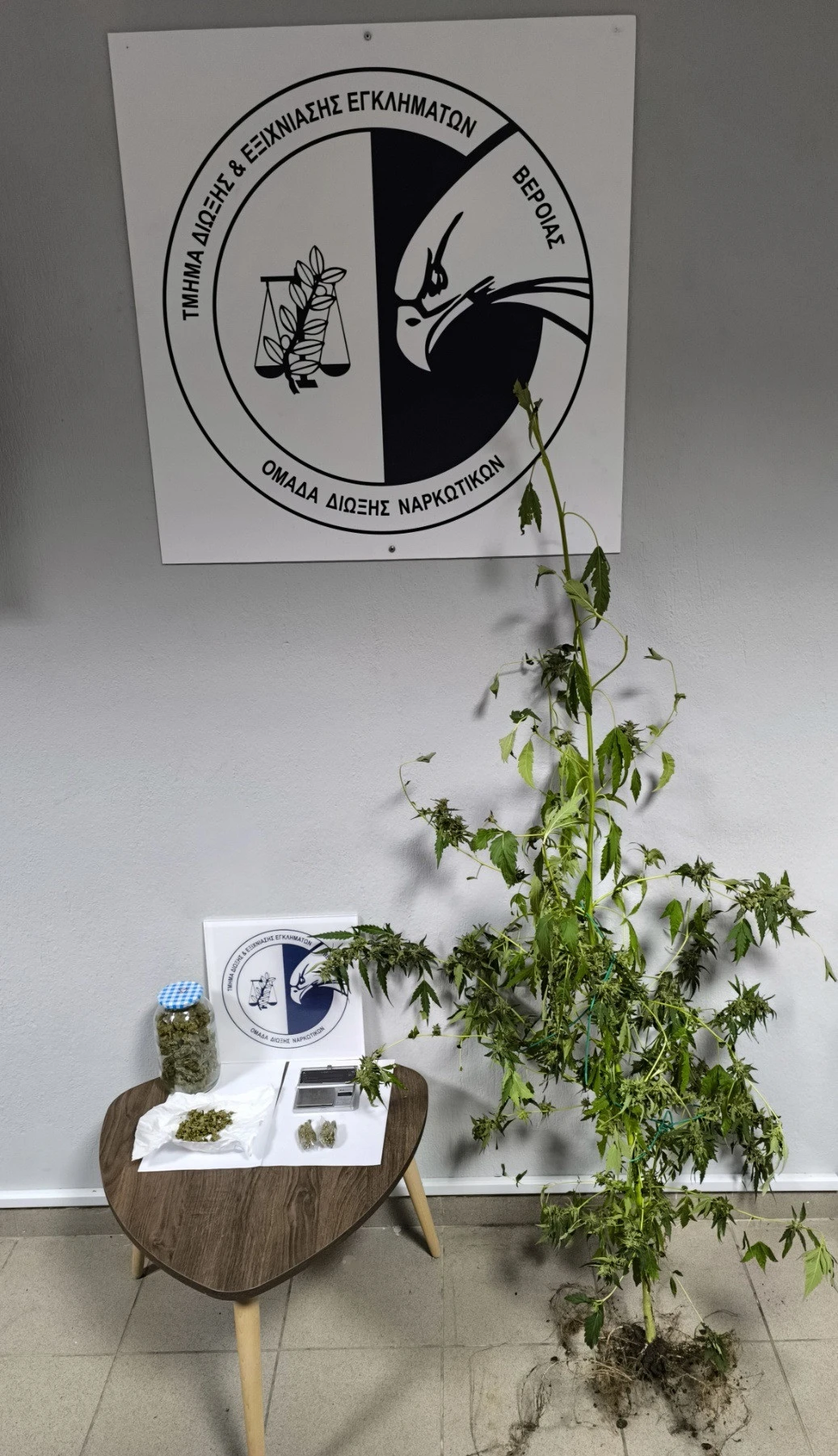 kataskhesi-tdee-beroias-2i-periptosi.jpg