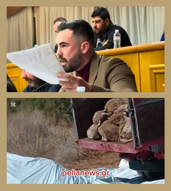 stighmiotipo-othonis-2025-10-12-113122.png