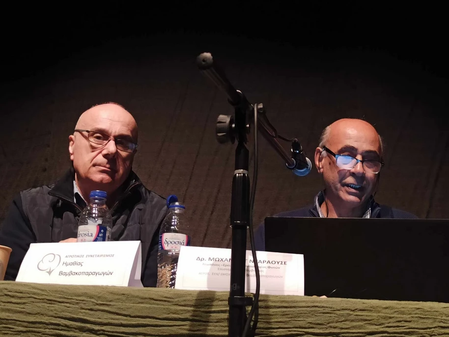 stighmiotipo-othonis-2025-10-22-164608.png