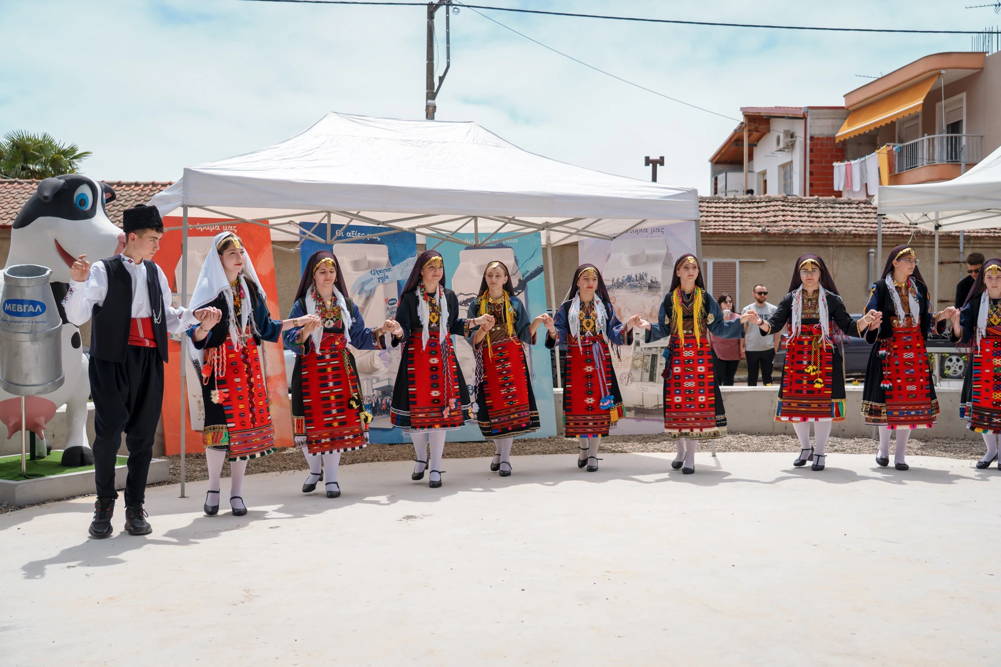 mevgal-353.jpg