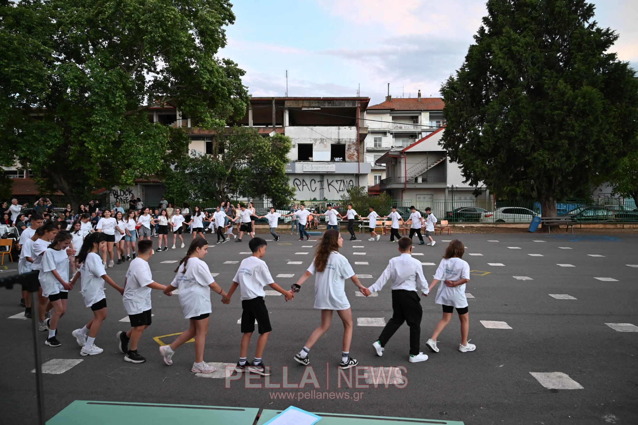dimsxskydras-2026-pellanews-36.JPG