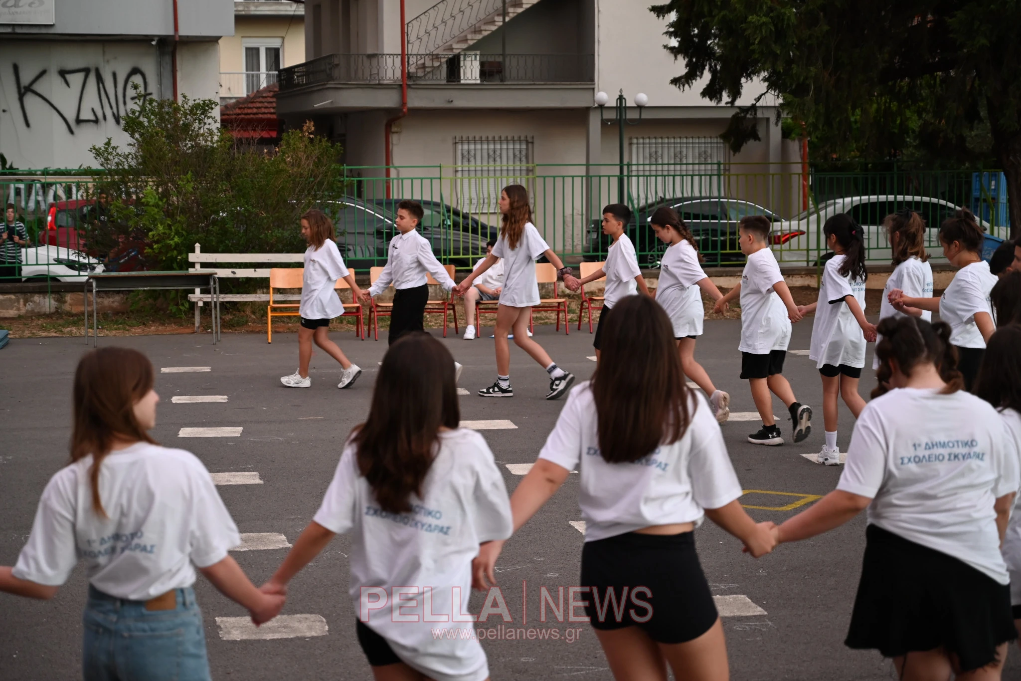 dimsxskydras-2026-pellanews-40.JPG
