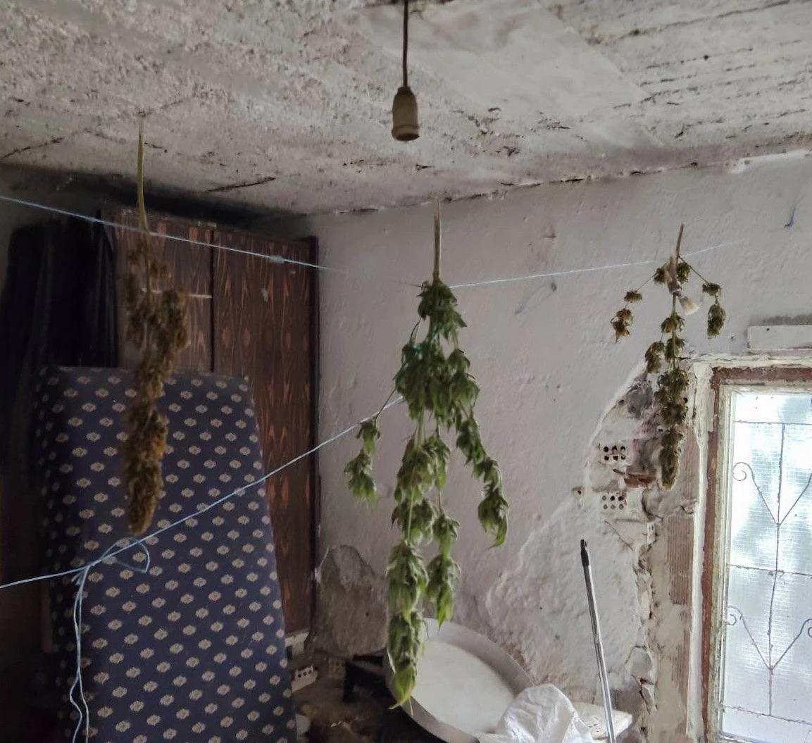 fwto-tdee-beroias.JPG