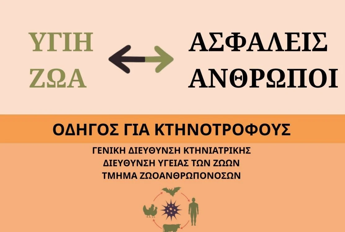 kataghrafi-FRpCZ.JPG