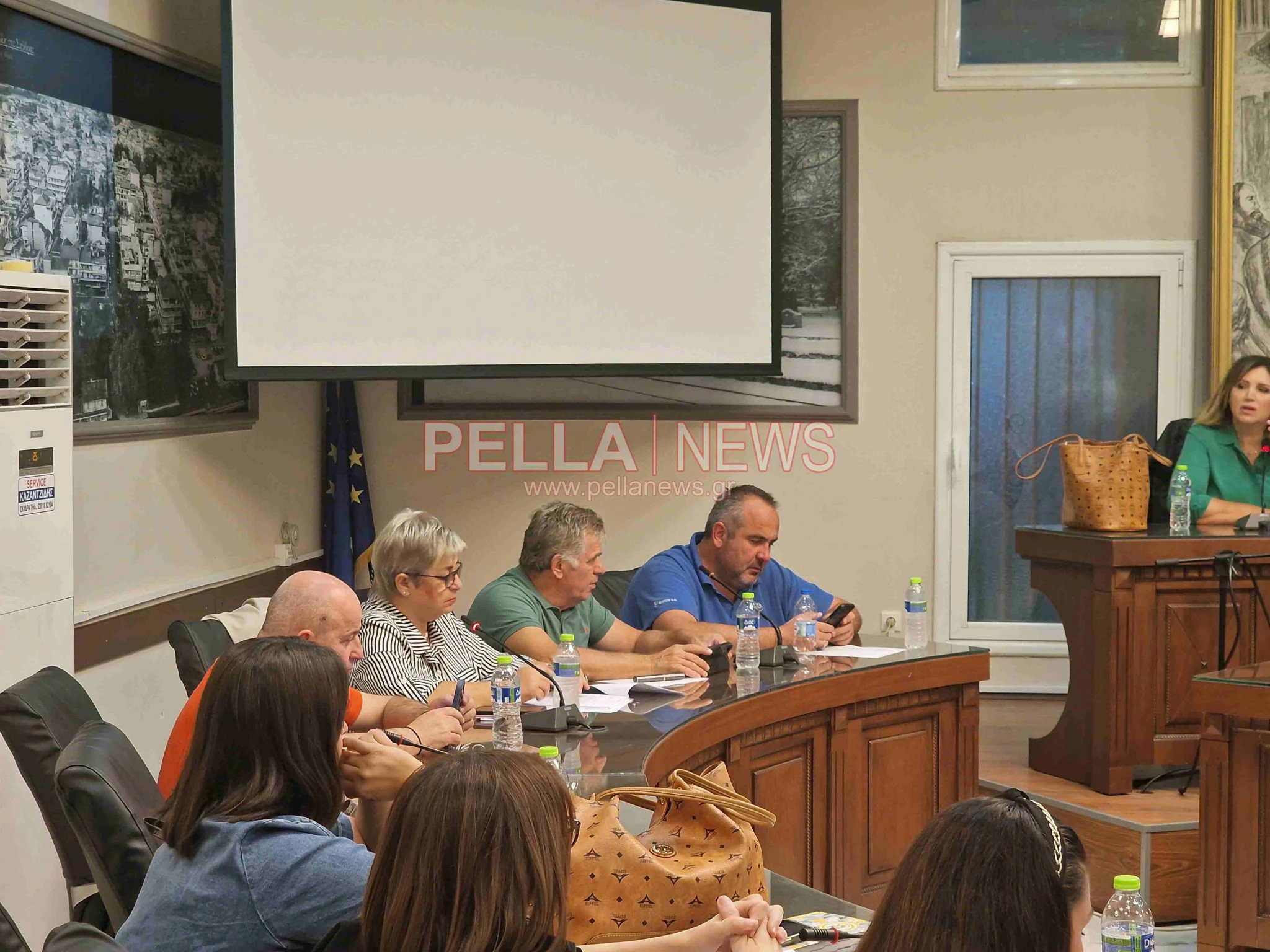 dhmotiko-symboylio-skydra-ds-pellanews20260924-201925.jpg