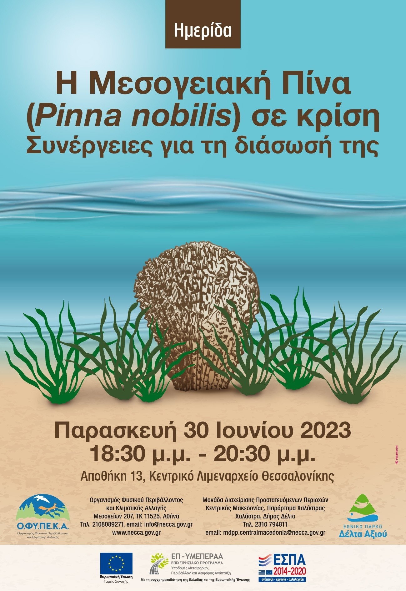 pinna-poster-imeridas.jpg