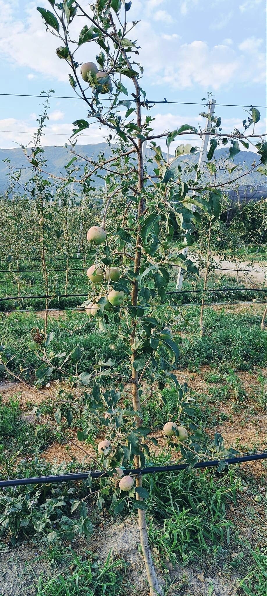 05-TGEyW.jpg