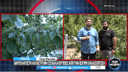 screenshot-14-Auzsa.png