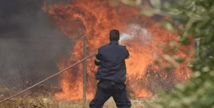 Εκδόθηκε η ΚΥΑ προκαταβολής 50% της κρατικής αρωγής για τις ζημιές σε φυτικό κεφάλαιο κατά τις πυρκαγιές