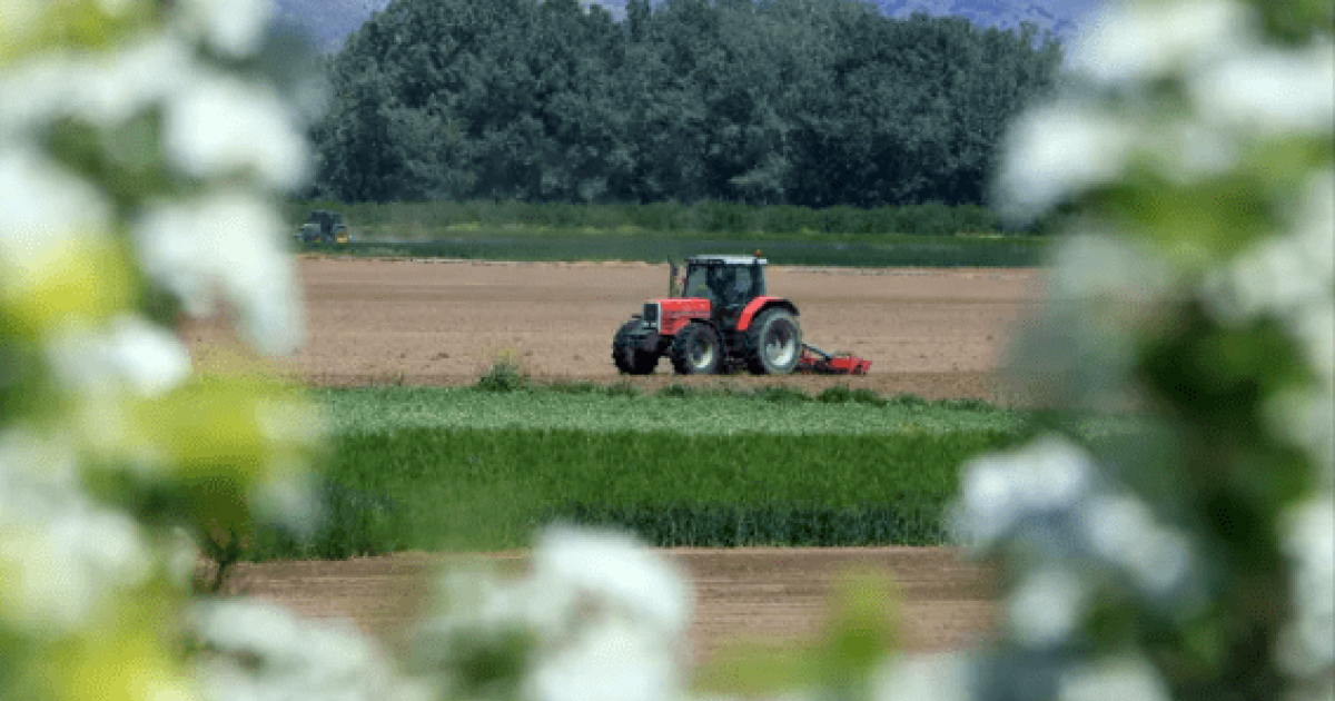 Πέλλα: Αυτό φοβούνται οι αγρότες μέσα στην εβδομάδα