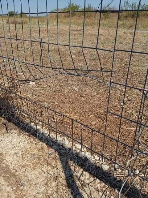 Επικίνδυνες δολιοφθορές στο Δημοτικό Καταφύγιο Αδέσποτων Ζώων στα Γιαννιτσά