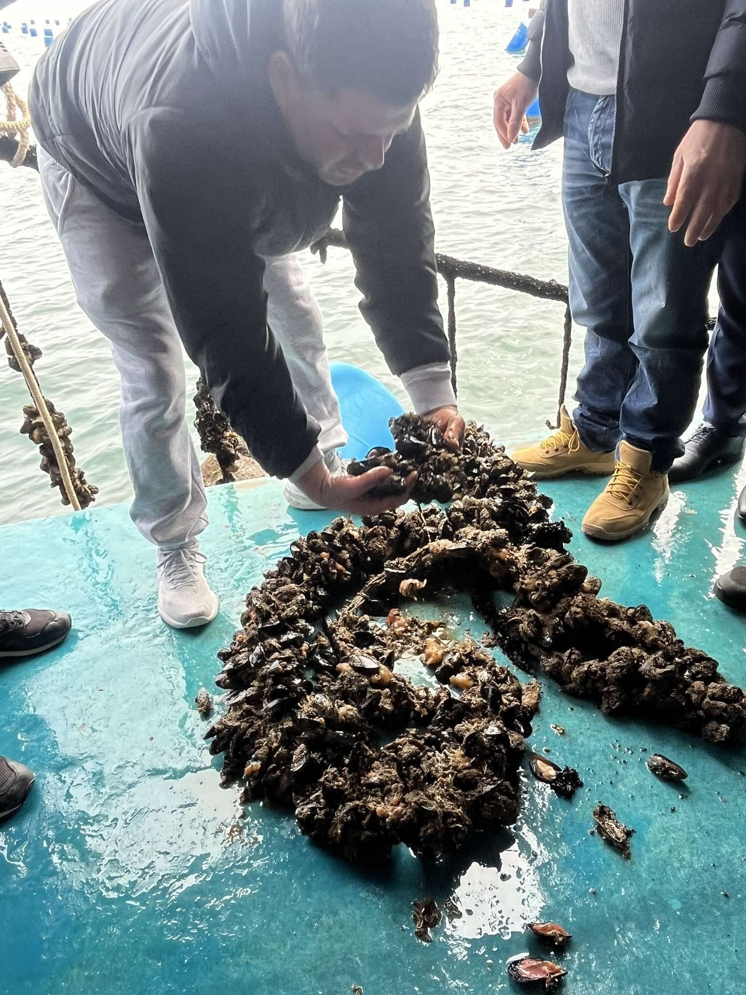 Τα προβλήματα των μυδοκαλλιεργητών της Πιερίας στο επίκεντρο επίσκεψης Ευρωβουλευτών στο λιμάνι Κίτρους