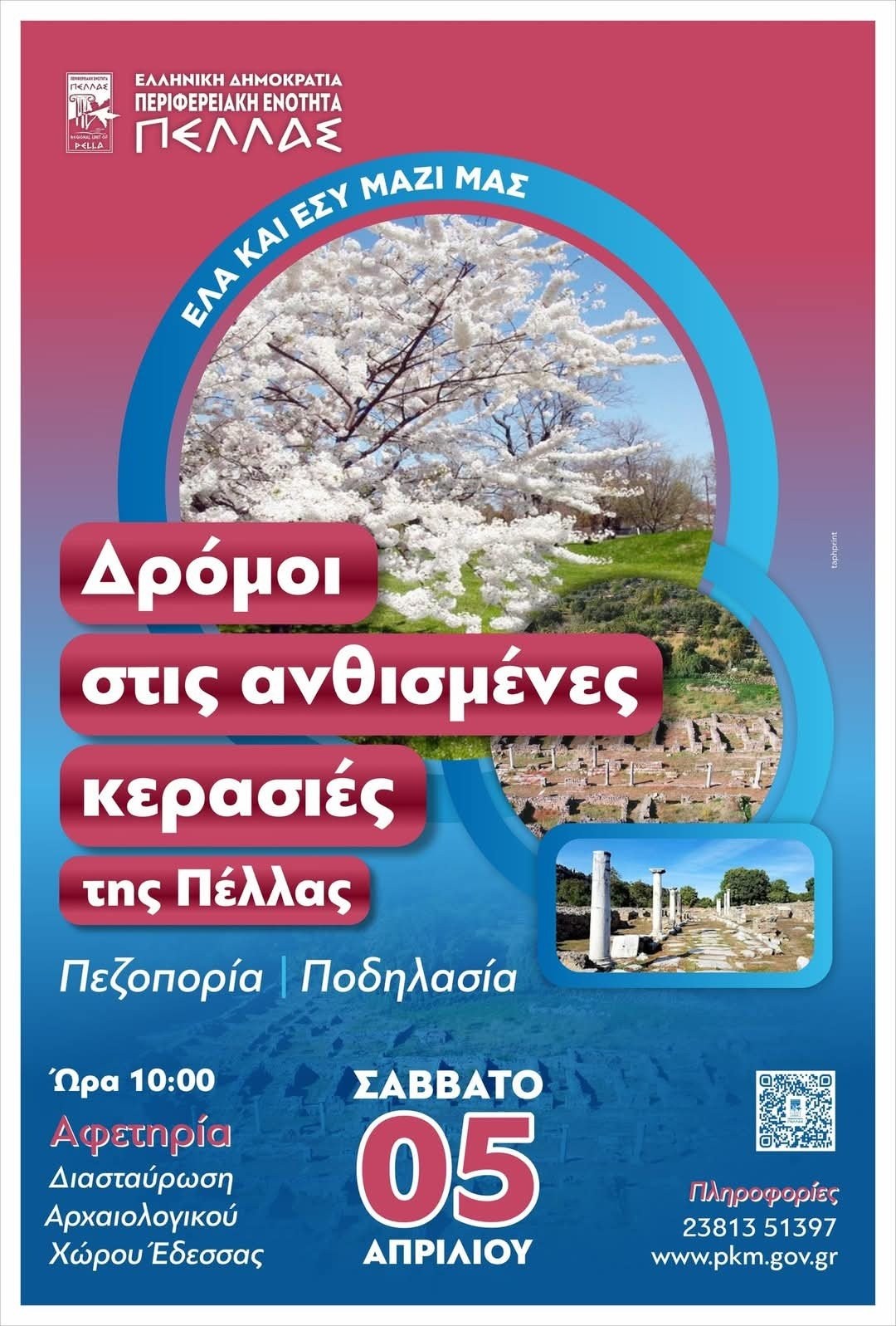 Αλλαγή τοποθεσίας για την εκδήλωση «Δρόμοι στις ανθισμένες κερασιές της Πέλλας»