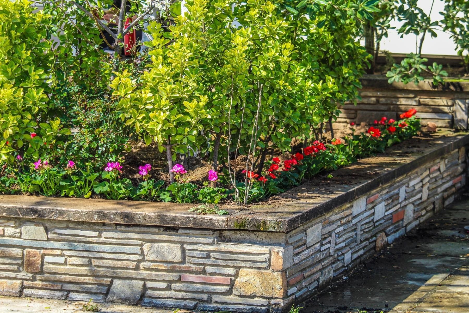 Άνοιξη στον Δήμο Δέλτα - Λουλούδια σε όλες τις πλατείες του δήμου