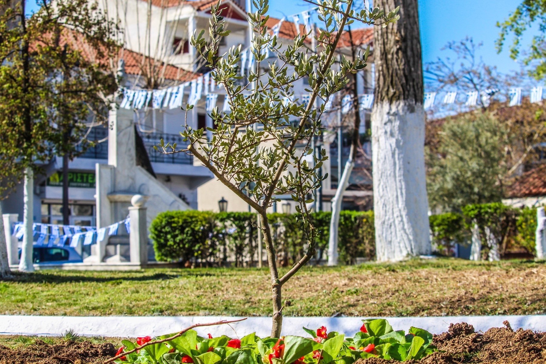 Άνοιξη στον Δήμο Δέλτα - Λουλούδια σε όλες τις πλατείες του δήμου