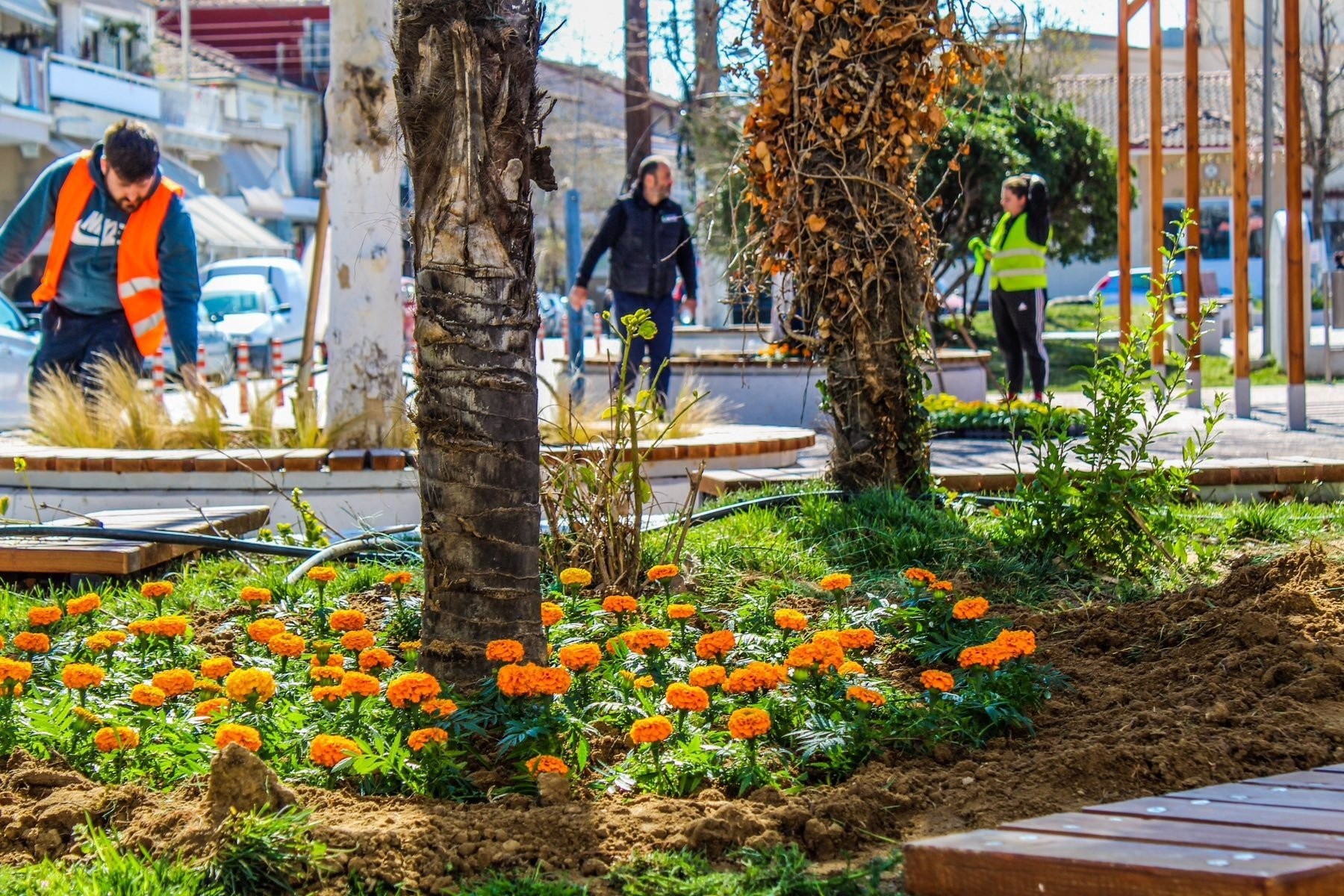 Άνοιξη στον Δήμο Δέλτα - Λουλούδια σε όλες τις πλατείες του δήμου