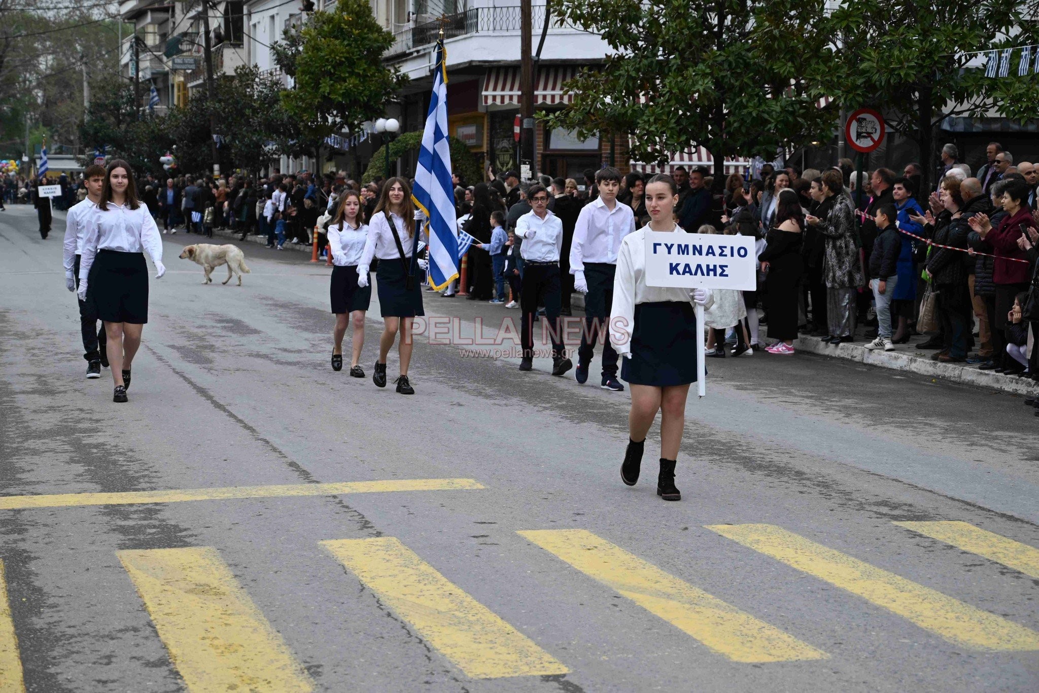 25η Μαρτίου 2025/Σκύδρα: Σχολεία και σύλλογοι τίμησαν την Εθνική Επέτειο με την κεντρική παρέλαση