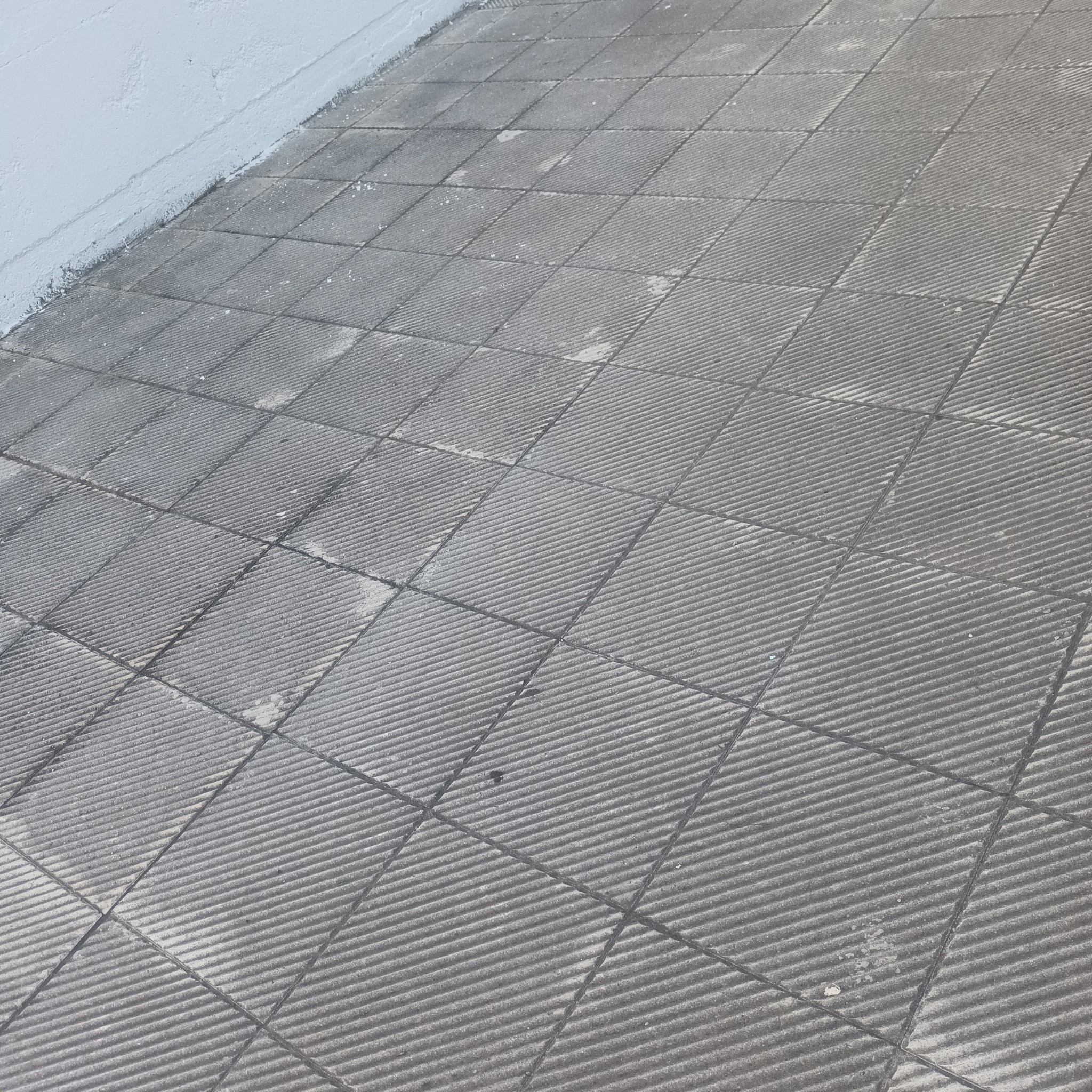 Παλαίφυτο: Σύλλογος και εθελοντές για...φίλημα! / Μπράβο σας!