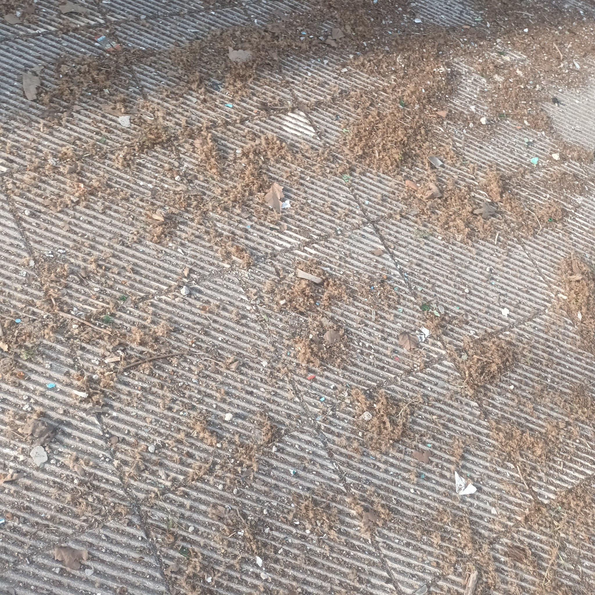 Παλαίφυτο: Σύλλογος και εθελοντές για...φίλημα! / Μπράβο σας!