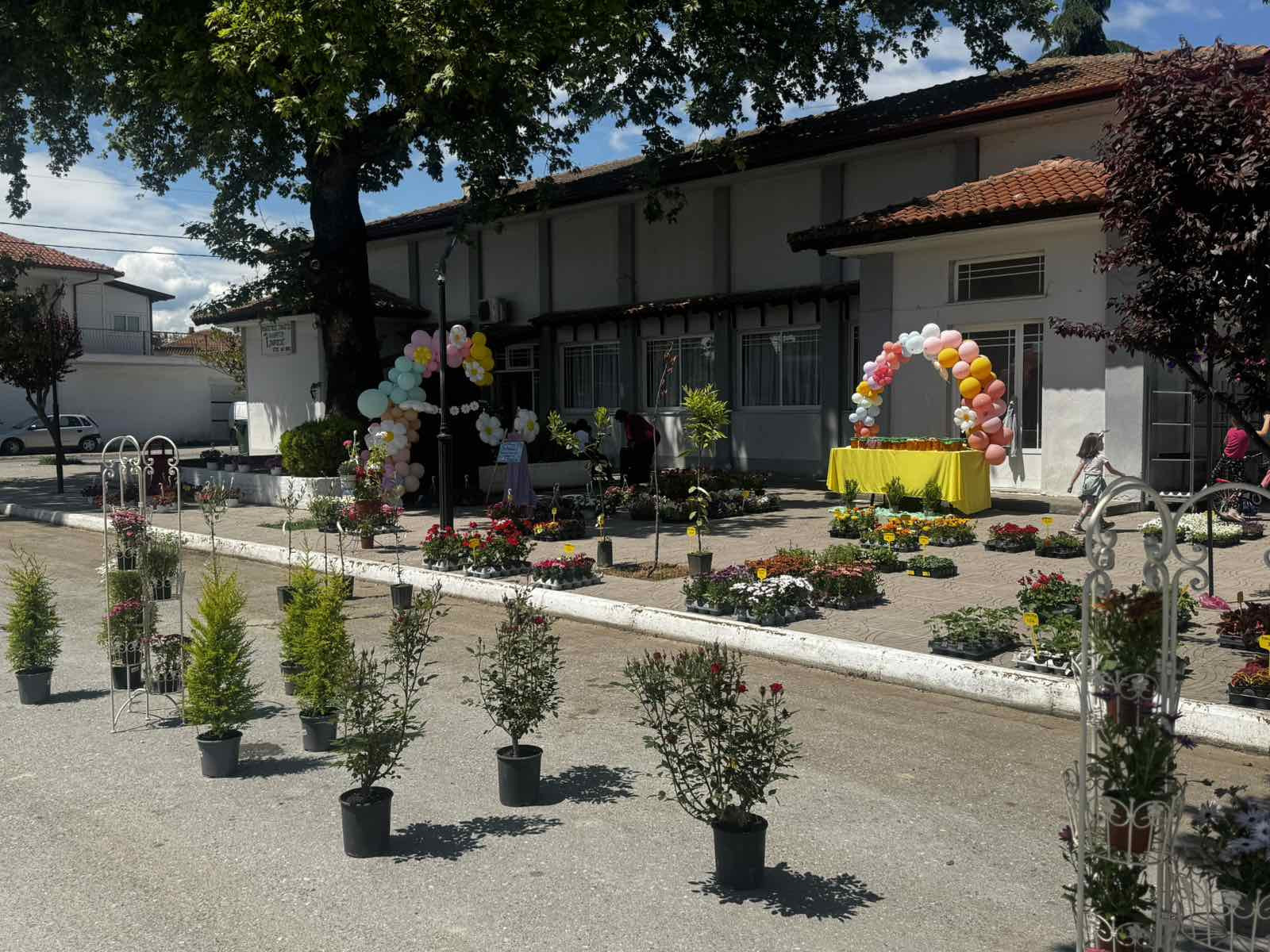 Παλαίφυτο: Ένα διήμερο "πλημμύρας" με χρώματα και μυρωδιές