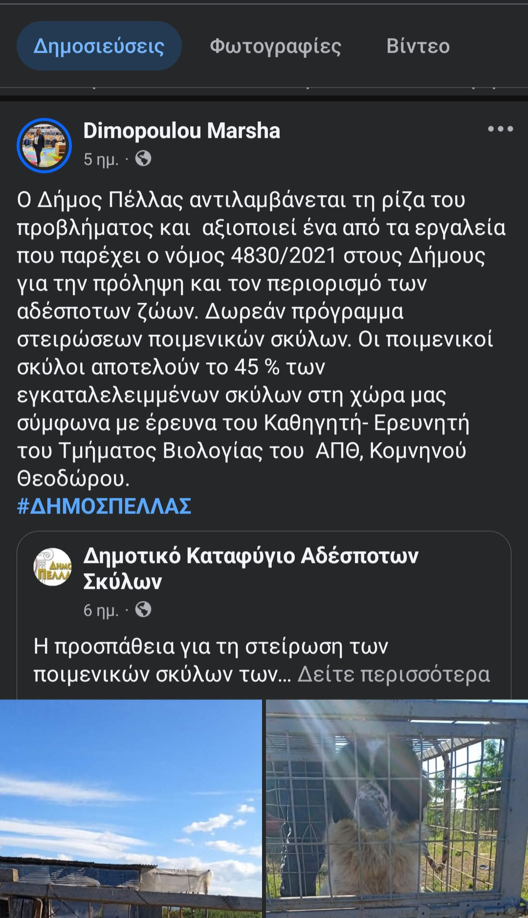 Η τ Ειδική γραμματέας προστασίας ζώων δικαιώνει τον Στέφανο Μίντζα και το pellanews.gr για την υπεύθυνη διαχείριση των αδέσποτων σε Πέλλα και Αλμωπία