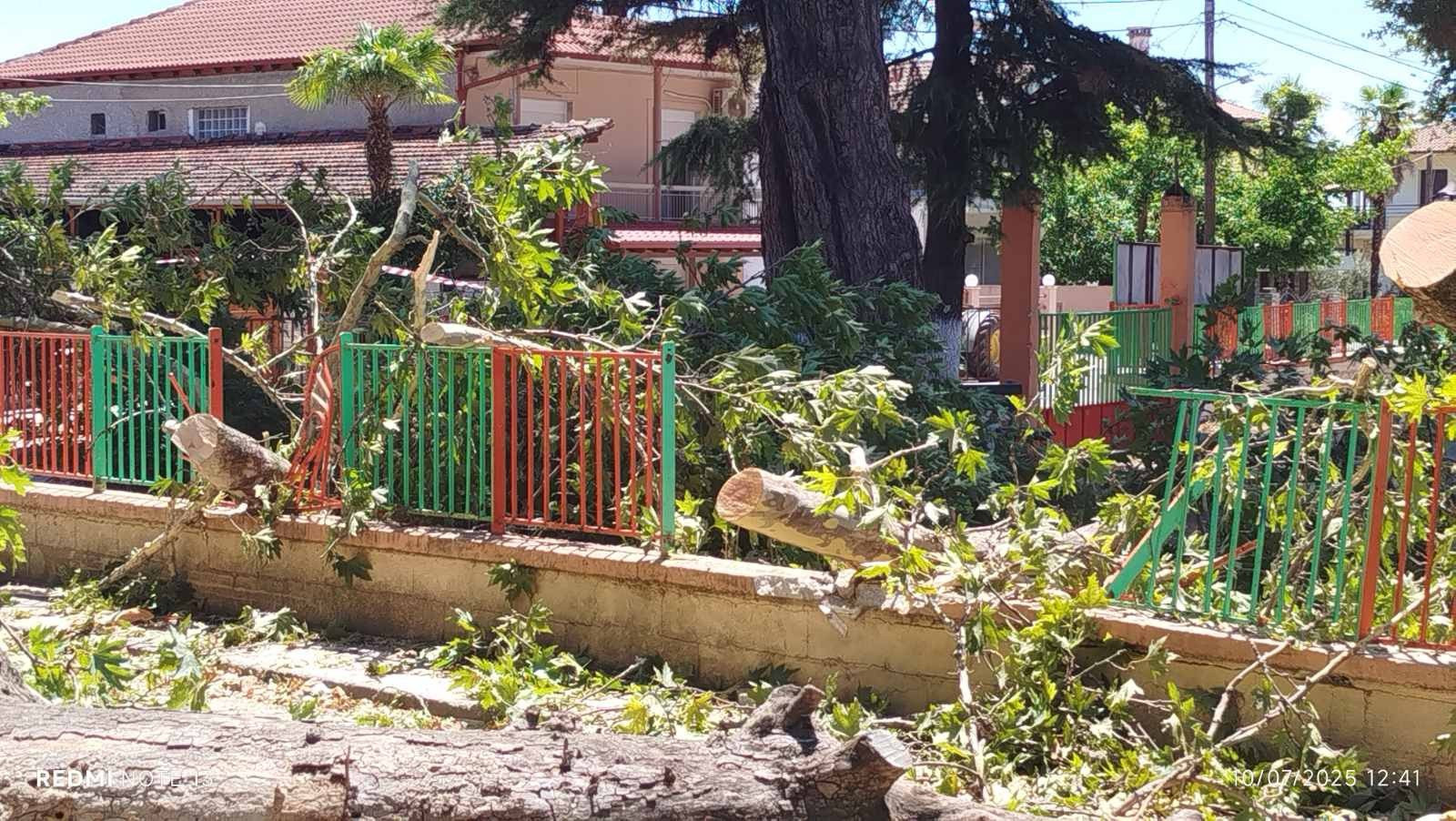Σεβαστειανά: Βομβαρδισμενο τοπίο η κεντρική πλατεία από πτώση κλαδιών