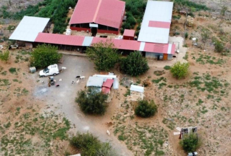 Δήμος Πέλλας: Σημαντικό έργο στη διαχείριση αδέσποτων ζώων και τον εκσυγχρονισμό γεωτρήσεων