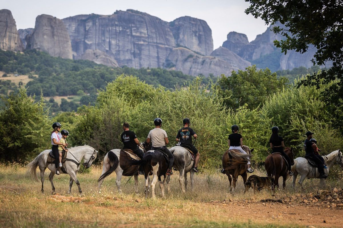 Μουσείο Φυσικής Ιστορίας Μετεώρων και Μουσείο Μανιταριών- Κυνήγι Τρούφας με Άλογα στα Μετέωρα