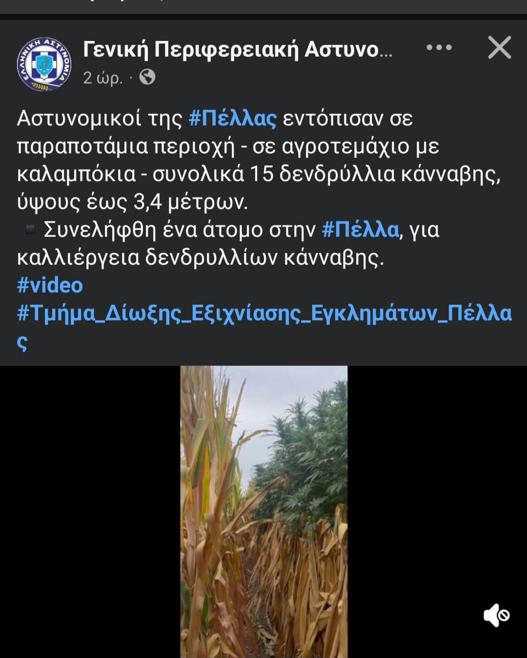 Συνελήφθη άτομο στην Πέλλα για καλλιέργεια δενδρυλλίων κάνναβης