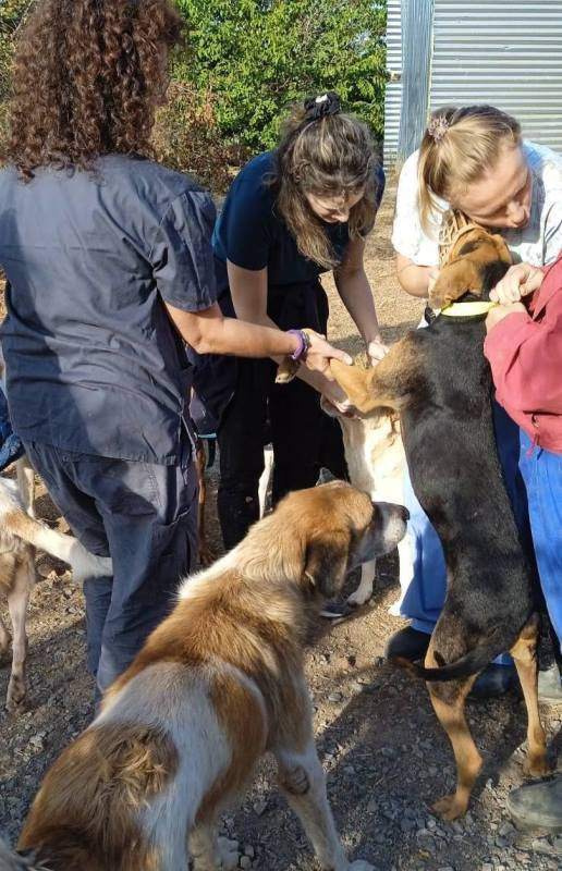 Επίσκεψη στο Καταφύγιο Αδέσποτων Ζώων Δήμου Πέλλας από την Κτηνιατρική Σχολή ΑΠΘ