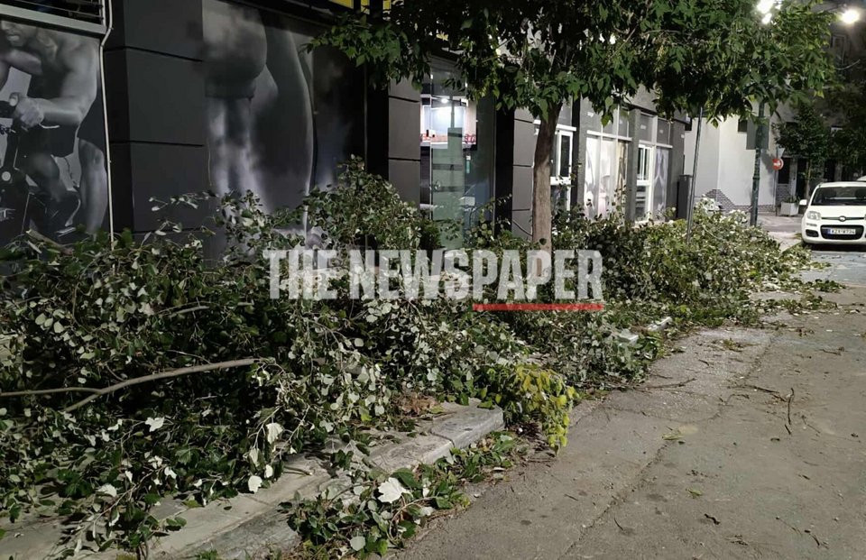 Θυελλώδεις άνεμοι σάρωσαν τον Βόλο: Πτώσεις δένδρων προκάλεσαν ζημιές σε ΙΧ -Βλάβες στην ηλεκτροδότηση