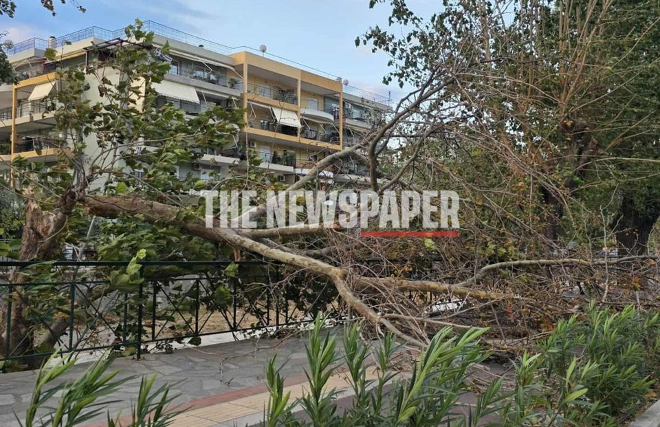 Θυελλώδεις άνεμοι σάρωσαν τον Βόλο: Πτώσεις δένδρων προκάλεσαν ζημιές σε ΙΧ -Βλάβες στην ηλεκτροδότηση