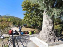 Επίσκεψη Σχολείου στο Μνημείο Αγρα Μίγκα