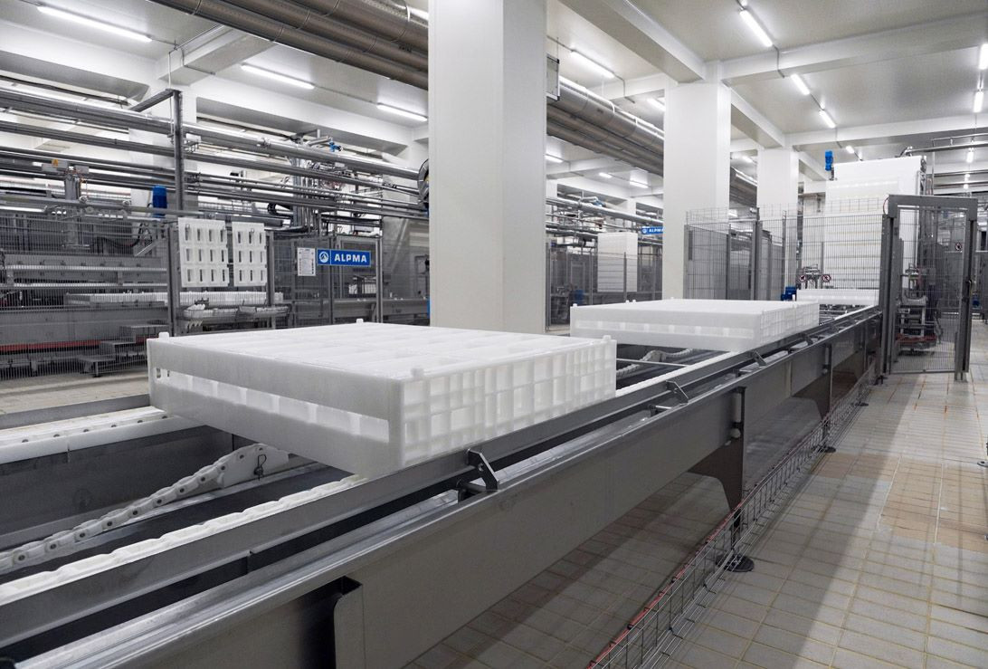 ΜΕΒΓΑΛ: Ολοκλήρωση επένδυσης για την επέκταση δυναμικότητας του τυροκομείου ΜΕΒΓΑΛ: Ολοκλήρωση επένδυσης για την επέκταση δυναμικότητας του τυροκομείου