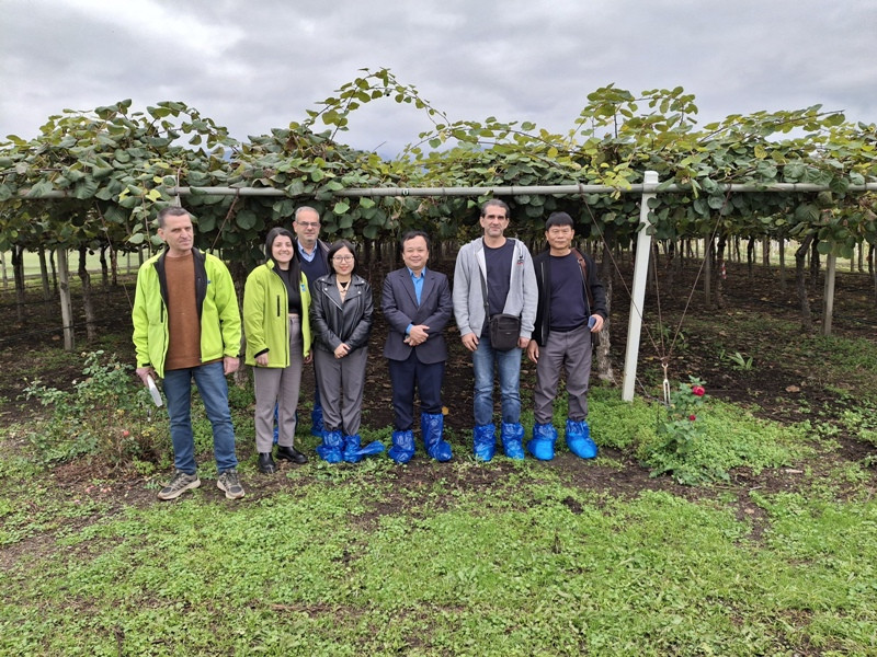Επίσκεψη κλιμακίου φυτοϋγειονομικών ελεγκτών του Υπουργείου Γεωργίας του Βιετνάμ με στόχο το άνοιγμα της αγοράς για το ελληνικό ακτινίδιο
